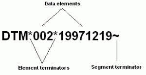 EDI File Data Segment