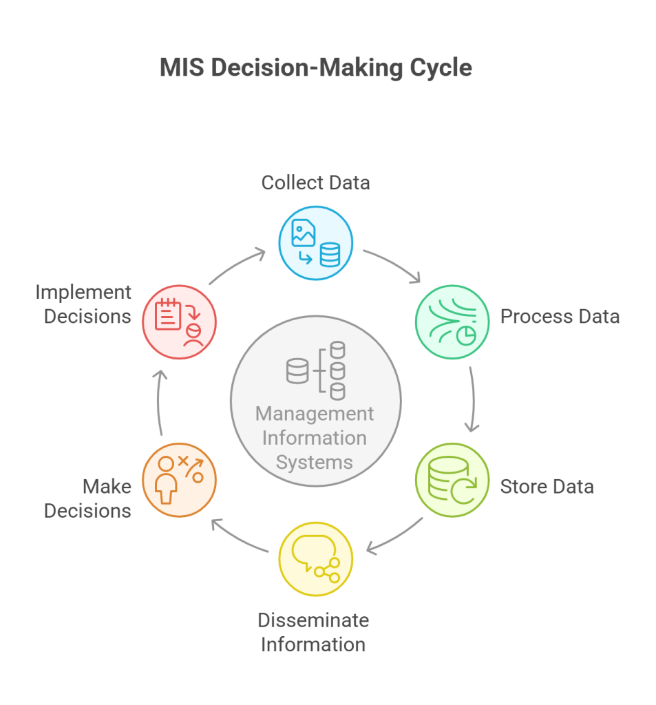 Understanding Management Information Systems (MIS) - visual selection