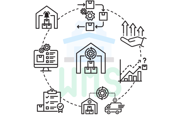 EDI WMS Integration Explained From Basic Setup to Advanced Operations